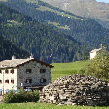 Bed and Breakfast Ristorante Selva *