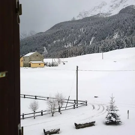 Bed and Breakfast Ristorante Selva *