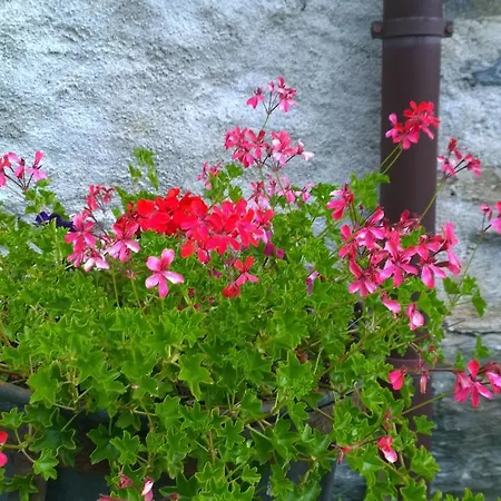 Ristorante Selva * Poschiavo